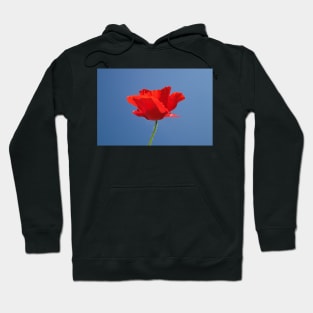 Red Against Blue Hoodie